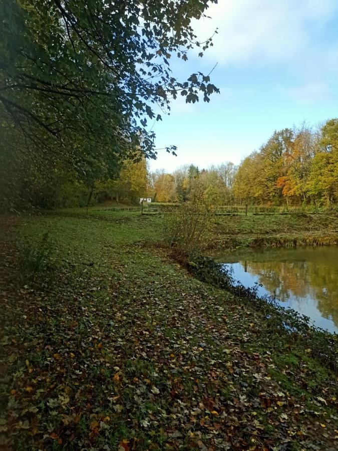 Deux Etangs Poissonneux Au Milieu Des Bois Avec Gite Moderne, La Halte Des Deux Lacs Rosee ภายนอก รูปภาพ