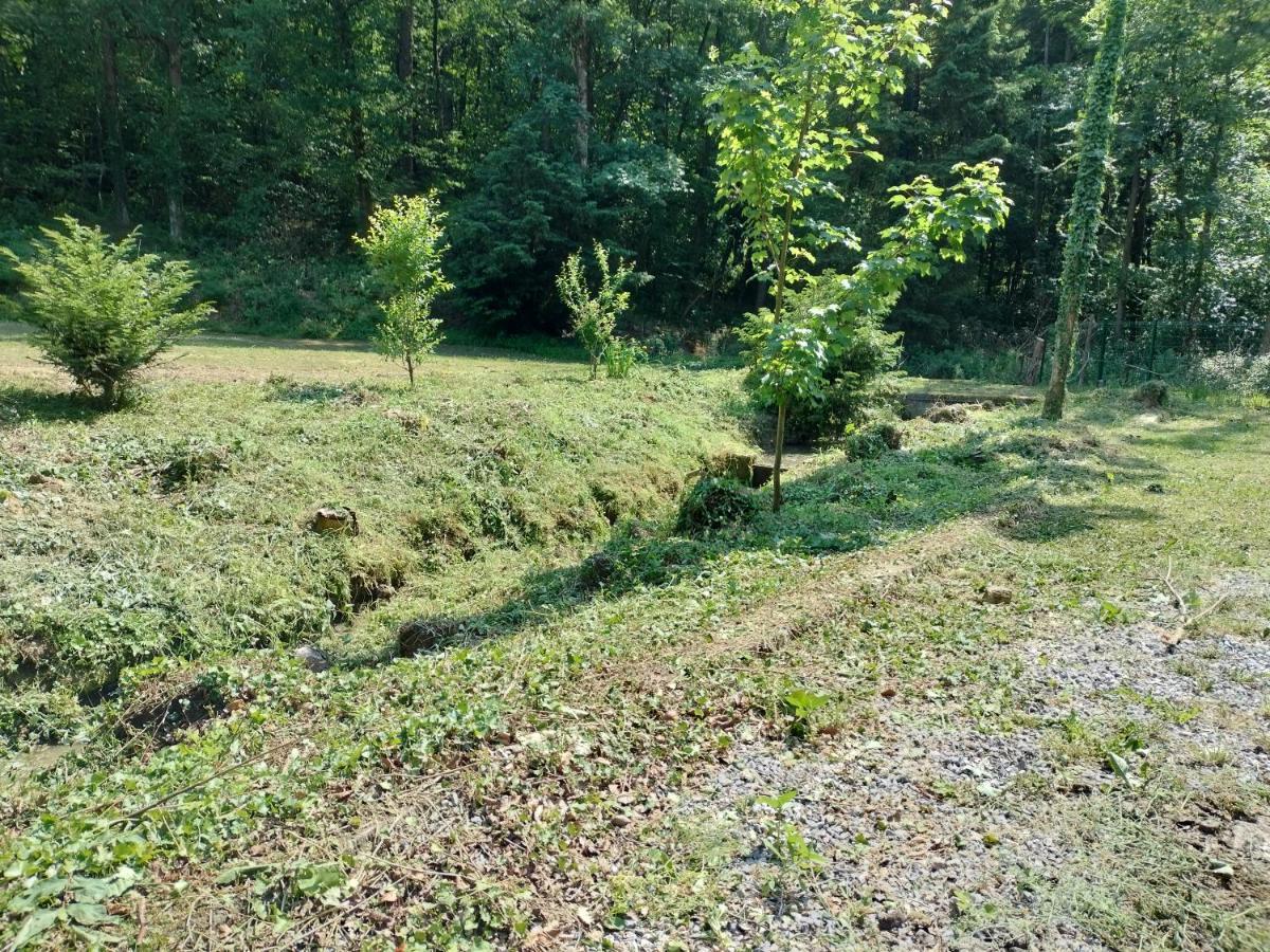Deux Etangs Poissonneux Au Milieu Des Bois Avec Gite Moderne, La Halte Des Deux Lacs Rosee ภายนอก รูปภาพ