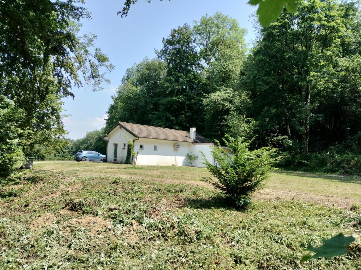 Deux Etangs Poissonneux Au Milieu Des Bois Avec Gite Moderne, La Halte Des Deux Lacs Rosee ภายนอก รูปภาพ